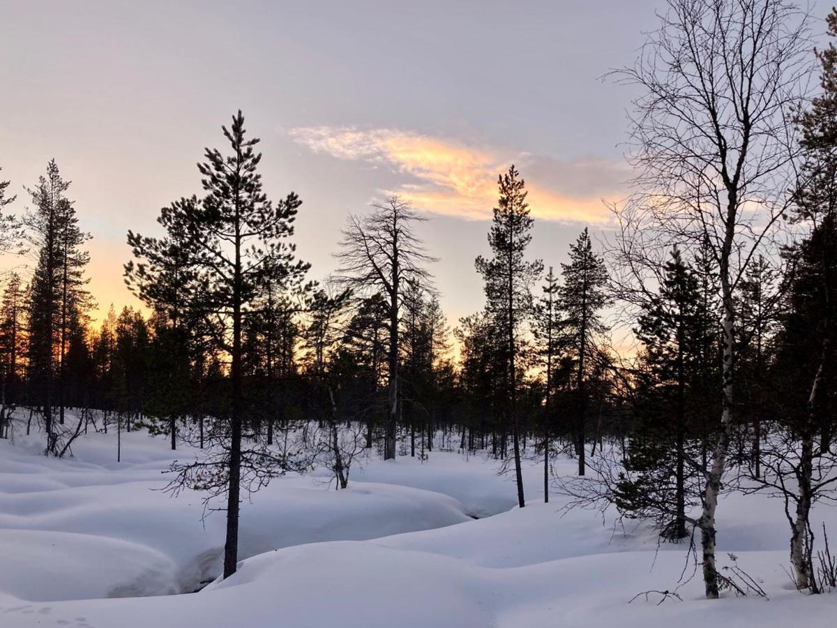 Kuukkeli Log Houses Aurora Cabin - Jaspis Saariselka Esterno foto